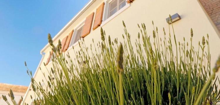 Studio Apartman Dado Lägenhet Bale Exteriör bild